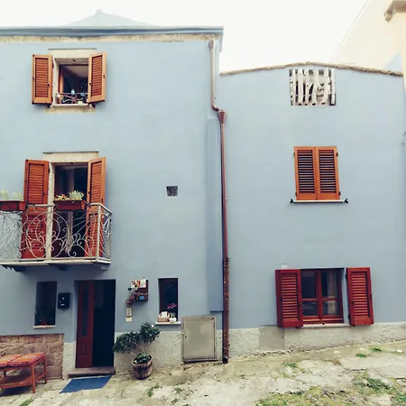 Blu Bosa-2